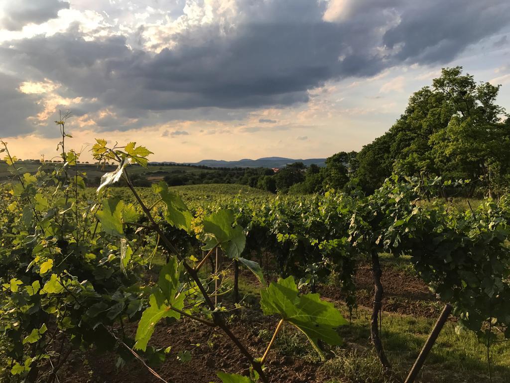 Vila Mia Valtice Kültér fotó